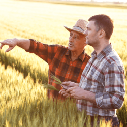 Farm and Ranch Insurance Coverage