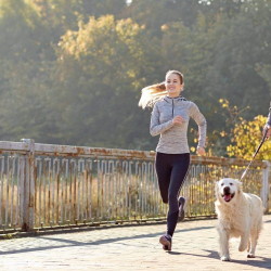 Pelvic Floor Rehabilitation