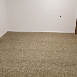 Carpet Cleaning