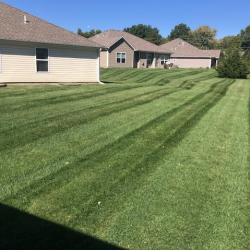 Lawn Maintenance Services