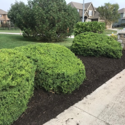 Landscaping Services