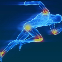 Sports Injury and Performance