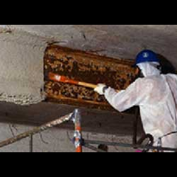 Asbestos Abatement