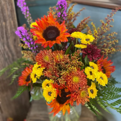 Fall or autumn