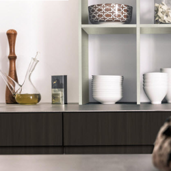 Thermally Fused Laminate (TFL)