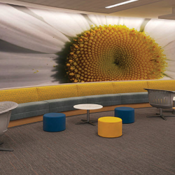 High Pressure Laminate (HPL)