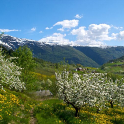 Grand Tour of Norway