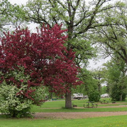 Red River State Recreation Area