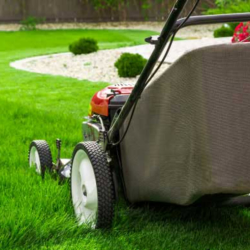 Lawn and Garden