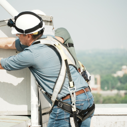 Renewable Subscription Programs
