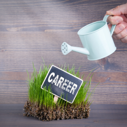 Career and Leadership Development Coaching