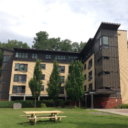 Expert Witness Consultations