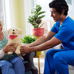 Alzheimer's & Dementia Care Services