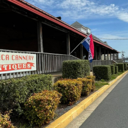 Online Store & Shipping