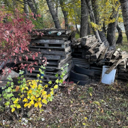 Trash and Yard Debris Removal