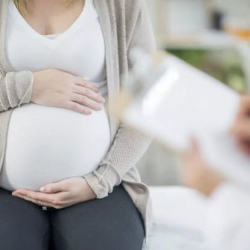 Maternal Fetal Medicine