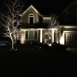 Landscape Lighting