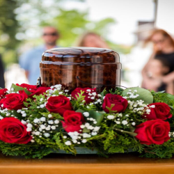 Cremation Services