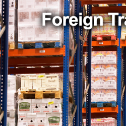 Foreign Trade Zone