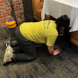 Carpet Cleaning
