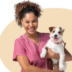 Pet Insurance