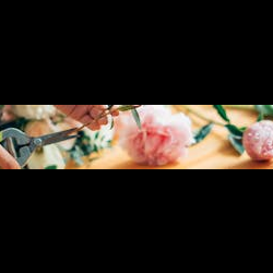 Local Flower Delivery