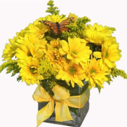 Summer Flowers