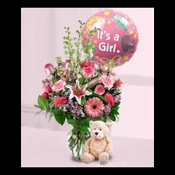 New Baby Flowers & Gifts