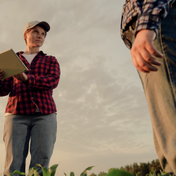 Agricultural Land Transactions