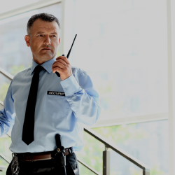 Professional Services 