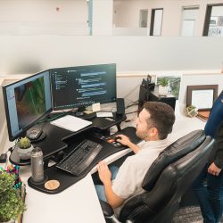 Solution and Software Development