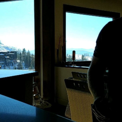 Energy Efficiency with Advanced Window Films
