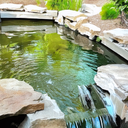 Maintenance Services