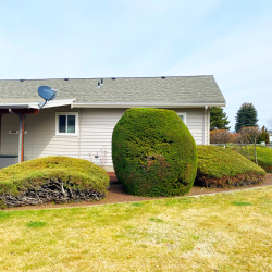 Landscape Design & Planning