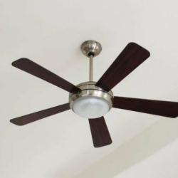 Ceiling Fan Installation