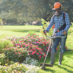Lawn Care and Maintenance
