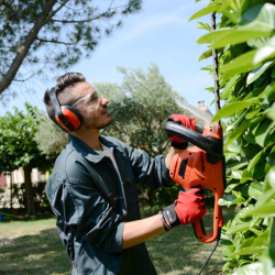 Tree and Shrub Care