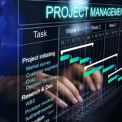 Project Management