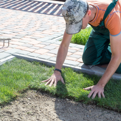 Artificial Turf