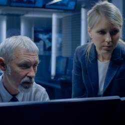 Software Customizations