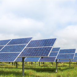 Utility-Scale Solar Project Development