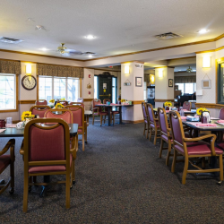 Assisted Living Services & Amenities