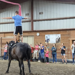 Introductory Vaulting Classes