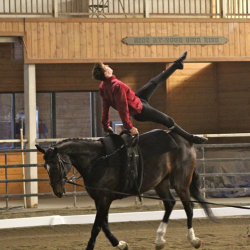 Vaulting Demonstrations & Performances