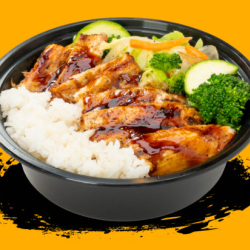 Chicken Breast Teriyaki