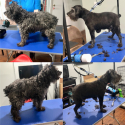 Haircuts