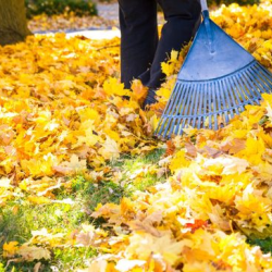 Spring & Fall Clean Up 