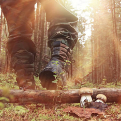 Footwear