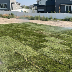 Sod Installation