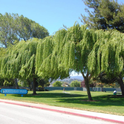 Park or Facility Reservation